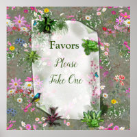 Cosmos Wilderness Wild-Blume