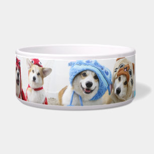 Cosplay Corgis Keramik Pfefferschale Napf