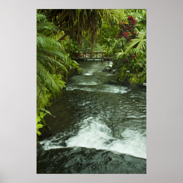 Cosra Rica Dream Poster (Vorne)