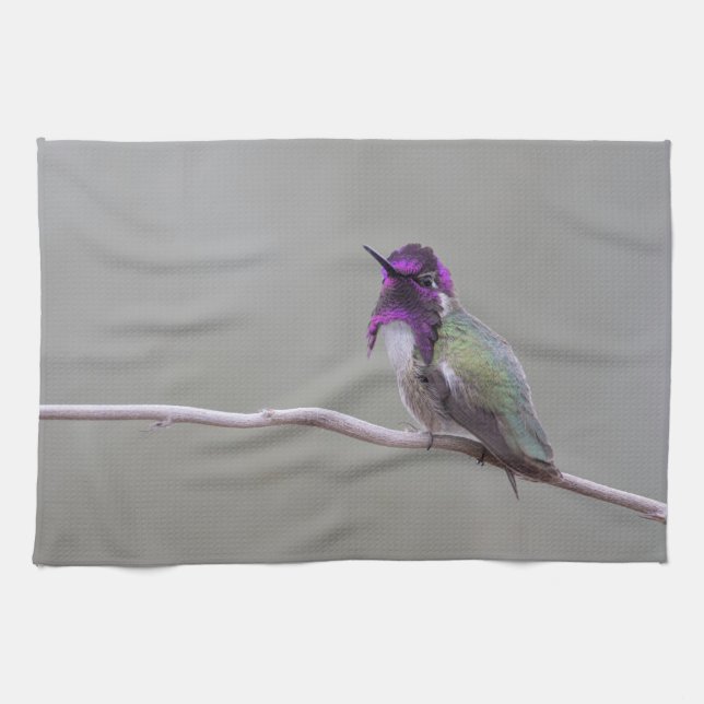 Costa-Kolibri Geschirrtuch (Horizontal)