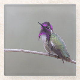 Costa-Kolibri Glasuntersetzer