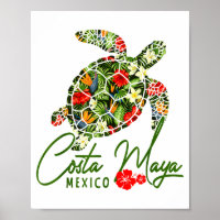 Costa Maya Mexiko Meeresschildkröte Tropischer Hib