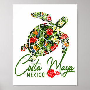 Costa Maya Mexiko Meeresschildkröte Tropischer Hib Poster