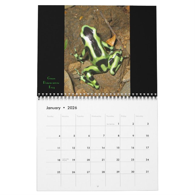 Costa Rica 2011 Kalender (Jan 2026)