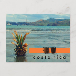 Costa Rica Ananas auf der Beach Postcard Postkarte