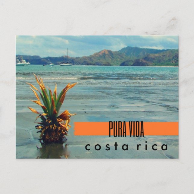 Costa Rica Ananas auf der Beach Postcard Postkarte (Vorderseite)