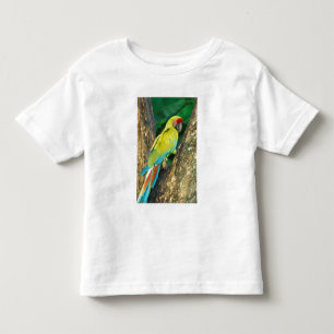 Costa Rica, Ara Ambigua, Große Grüne Ara. Kleinkind T-shirt