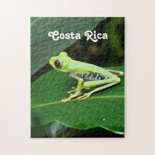 Costa Rica-Baum-Frosch Puzzle