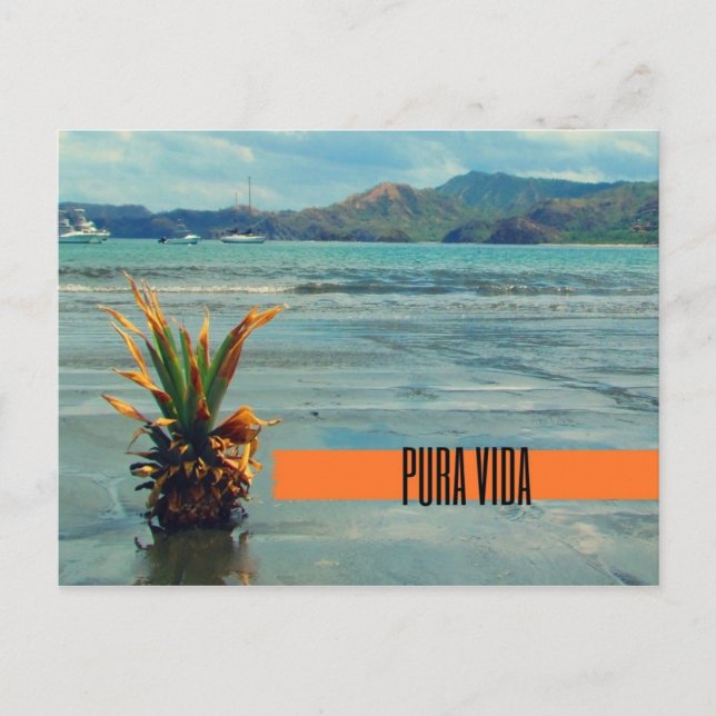 Costa Rica Beach Pura Vida Postcard Postkarte (Vorderseite)