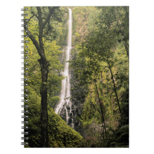 Costa Rica, Cocos-Insel, Wafer Bay Wasserfall Notizblock