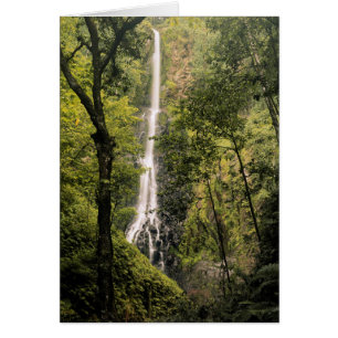 Costa Rica, Cocos Island, Wafer Bay Wasserfall