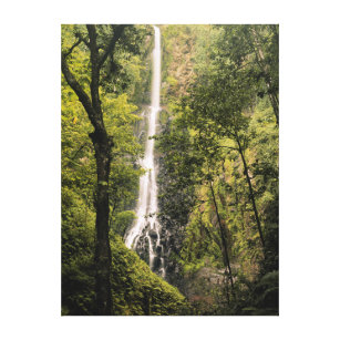 Costa Rica, Cocos Island, Wafer Bay Wasserfall Leinwanddruck