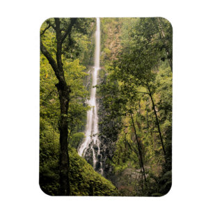 Costa Rica, Cocos Island, Wafer Bay Wasserfall Magnet
