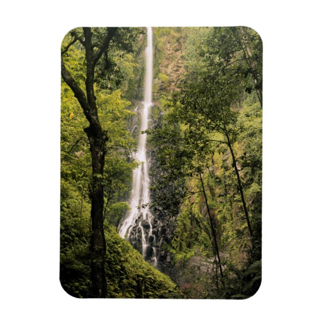 Costa Rica, Cocos Island, Wafer Bay Wasserfall Magnet (Vertikal)