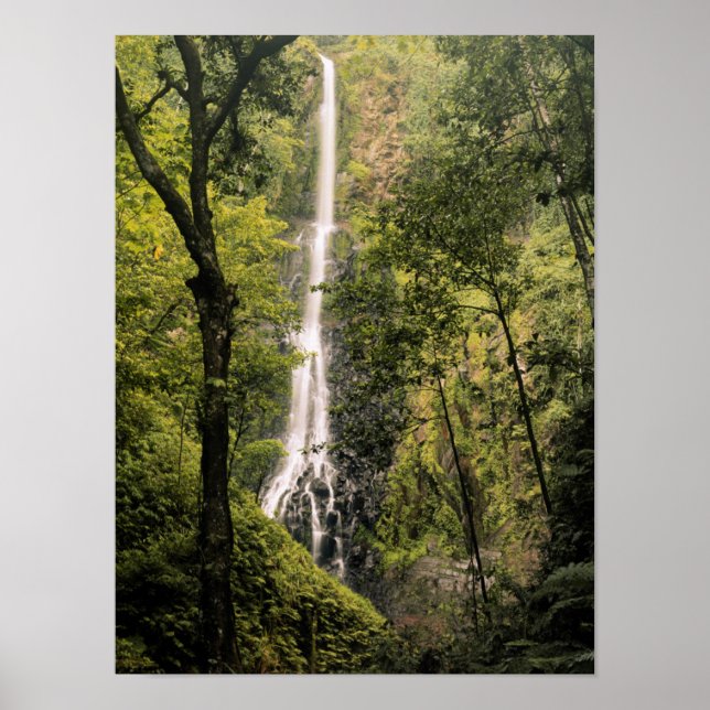 Costa Rica, Cocos Island, Wafer Bay Wasserfall Poster (Vorne)