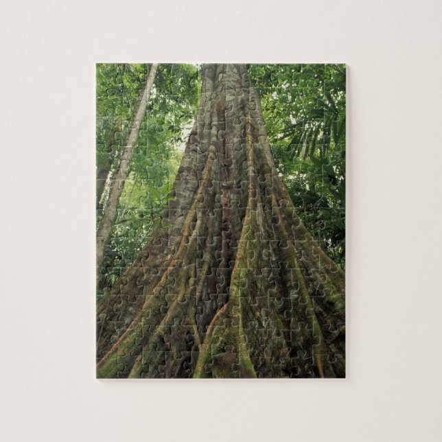 Costa Rica, Corcovado Nationalpark, Buttressed Puzzle (Vertikal)