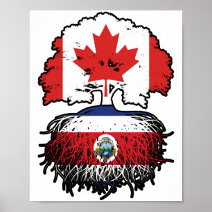Costa Rica Costa Rica Kanada Tree Roots Poster