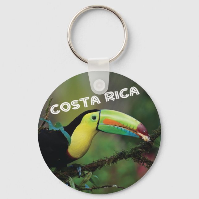 Costa Rica farbenfroher Toucan Bird Schlüsselanhänger (Vorderseite)