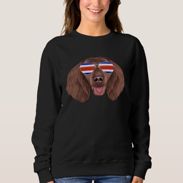 Costa Rica Flag American Water Spaniel Dog Tico Po Sweatshirt (Vorderseite)