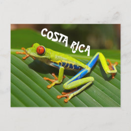 Costa Rica Foto des mit Augen Rothaubs Postkarte