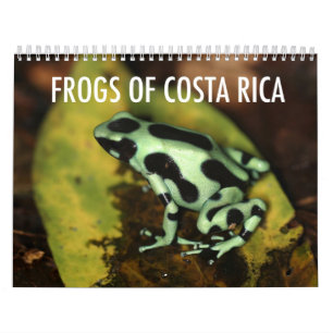Costa Rica-Frosch-Kalender Kalender