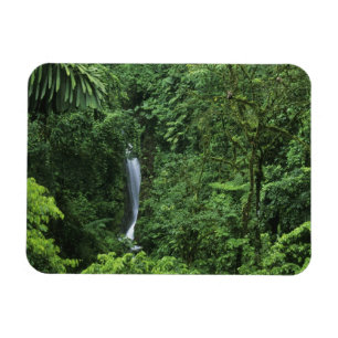 Costa Rica, Gebiet des Arenal Vulkans, Hängebrücke Magnet