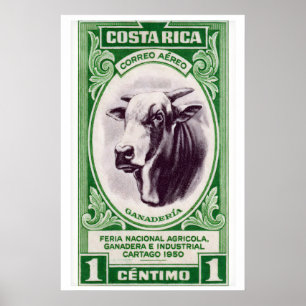 Costa Rica Gehörnter Kuh Kunst Druck, Vintage Post Poster