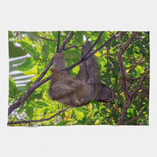 Costa Rica - Glückliches faules Faultier, Antonio Geschirrtuch