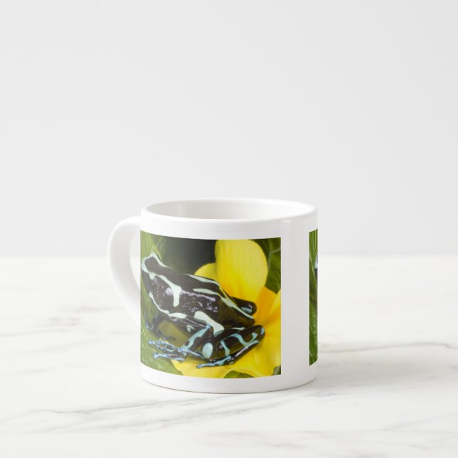 Costa Rica, Halbinsel Osa Espressotasse (Vorderseite Links)
