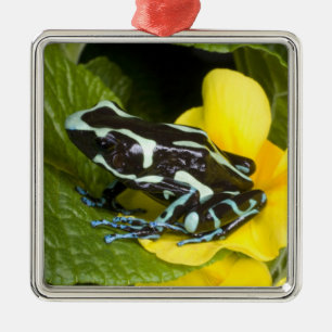 Costa Rica, Halbinsel Osa Ornament Aus Metall