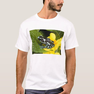 Costa Rica, Halbinsel Osa T-Shirt