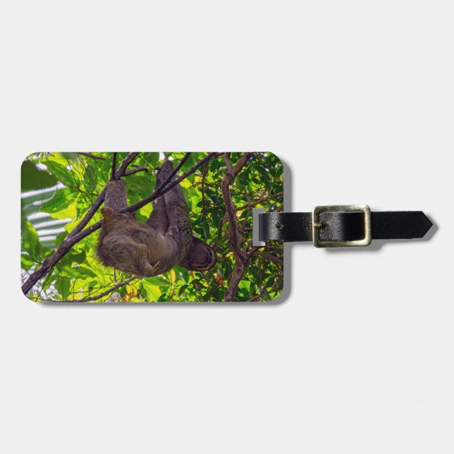 Costa Rica - Happy Lazy Sloth, Antonio Manuel NP Gepäckanhänger (Vorderseite horizontal)