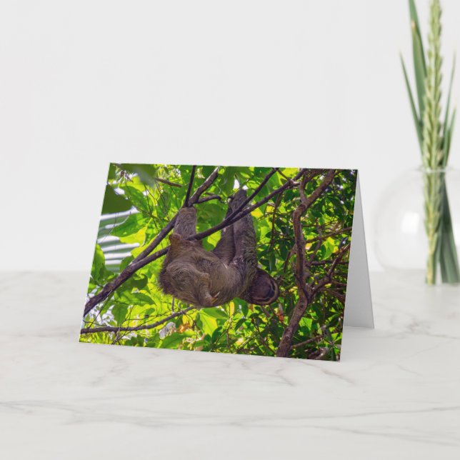 Costa Rica - Happy Lazy Sloth, Antonio Manuel NP Karte (Vorderseite)