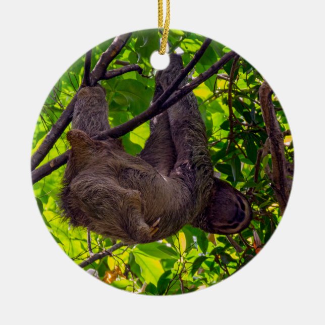 Costa Rica - Happy Lazy Sloth, Antonio Manuel NP Keramik Ornament (Vorne)