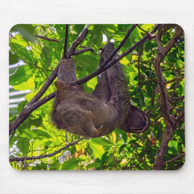 Costa Rica - Happy Lazy Sloth, Antonio Manuel NP Mousepad (Vorne)