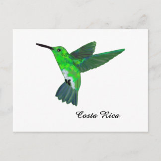 Costa Rica Hummingbird Postkarte