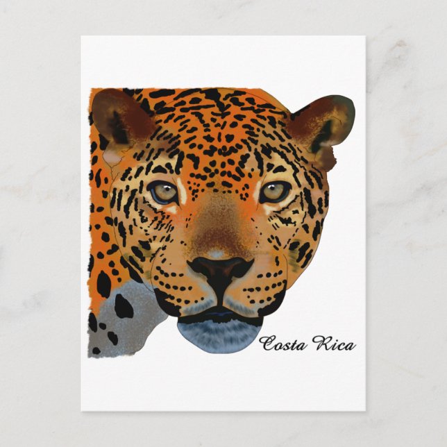 Costa Rica Jaguar Postkarte (Vorderseite)