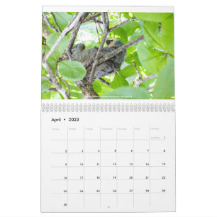 Costa Rica Kalender