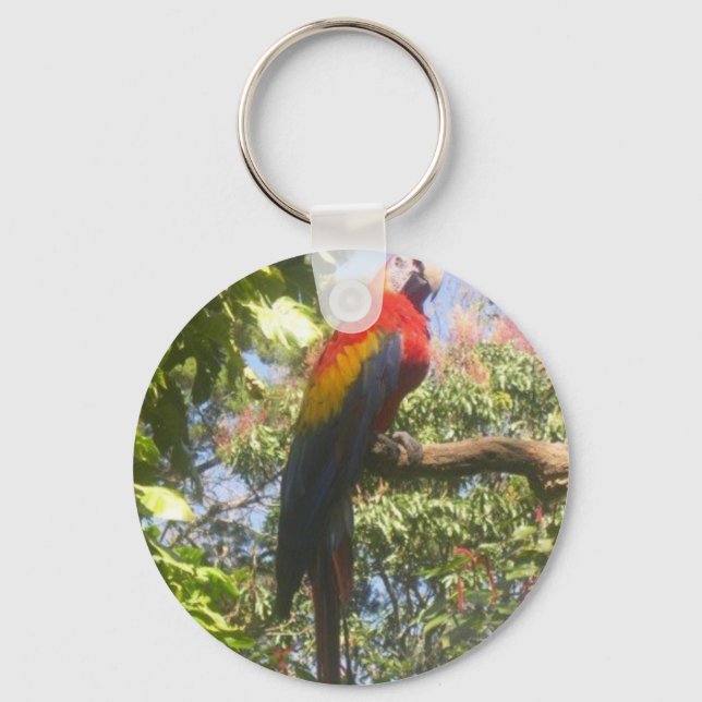Costa Rica Macaw Schlüsselanhänger (Vorderseite)