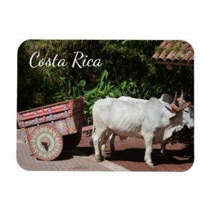 Costa Rica Magnet