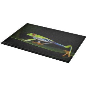 Costa Rica, mit Augen Baumfrosch (Agalychnis) Schneidebrett