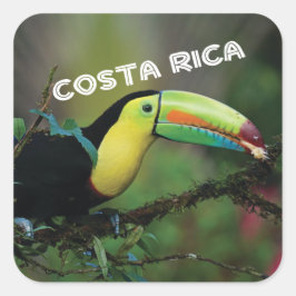 Costa Rica mit farbenprächtigem Toucan Quadratischer Aufkleber