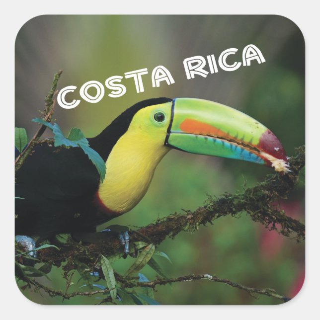 Costa Rica mit farbenprächtigem Toucan Quadratischer Aufkleber (Vorderseite)
