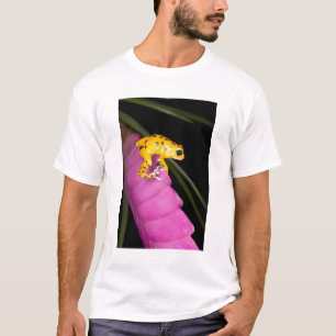 Costa Rica. Nahaufnahme eines Pfeilgiftfroschs T-Shirt