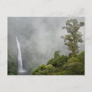 Costa Rica, Nebelwald in den Bergen bei La Postkarte