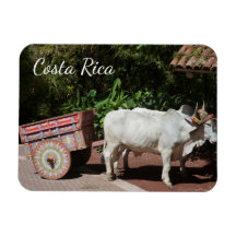 Costa Rica Oxcart