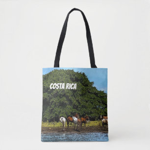 Costa Rica - Pferde am Wasser