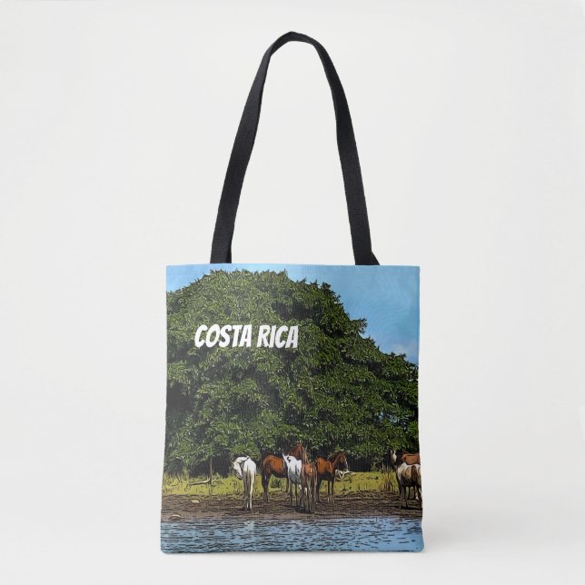 Costa Rica - Pferde am Wasser (Vorderseite)
