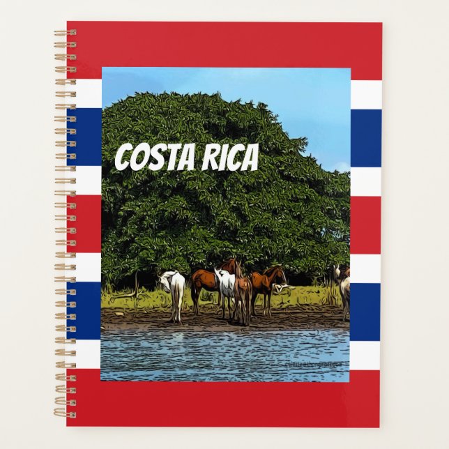 Costa Rica - Pferde am Wasser Planer (Vorderseite)