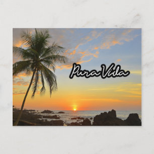 Costa Rica Pura Vida Beach Souvenir Postkarte